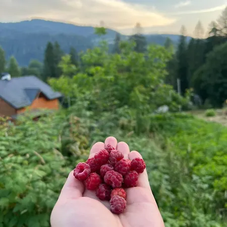 بيت للعطل біля річки